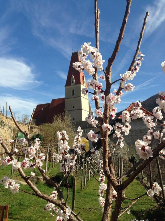 Gaestehaus Haiminger Ehemalig Schmelz Weissenkirchen in der Wachau Eksteriør bilde