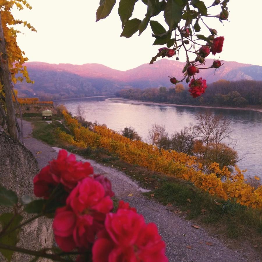 Gaestehaus Haiminger Ehemalig Schmelz Weissenkirchen in der Wachau Eksteriør bilde
